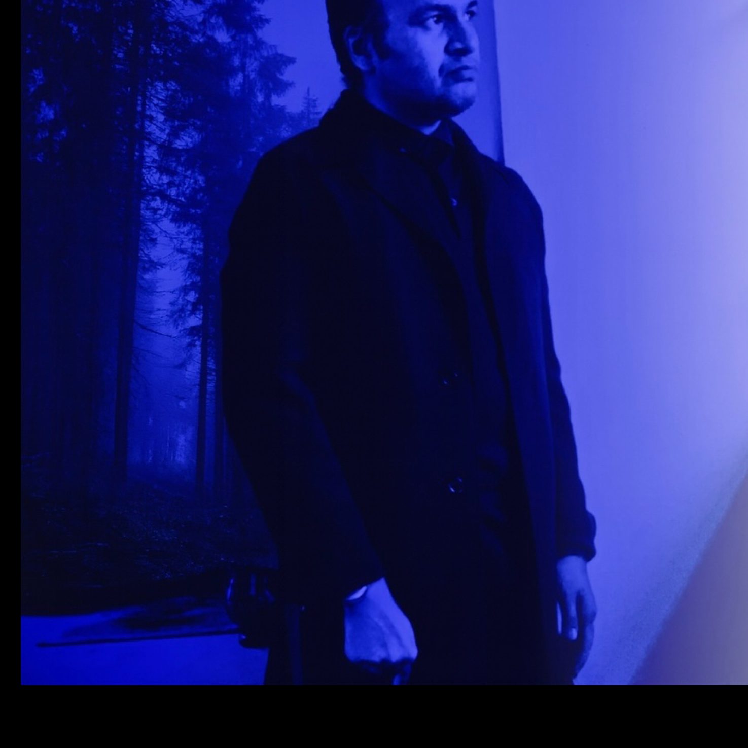 DIGIVMUSIC artist photo in the forest